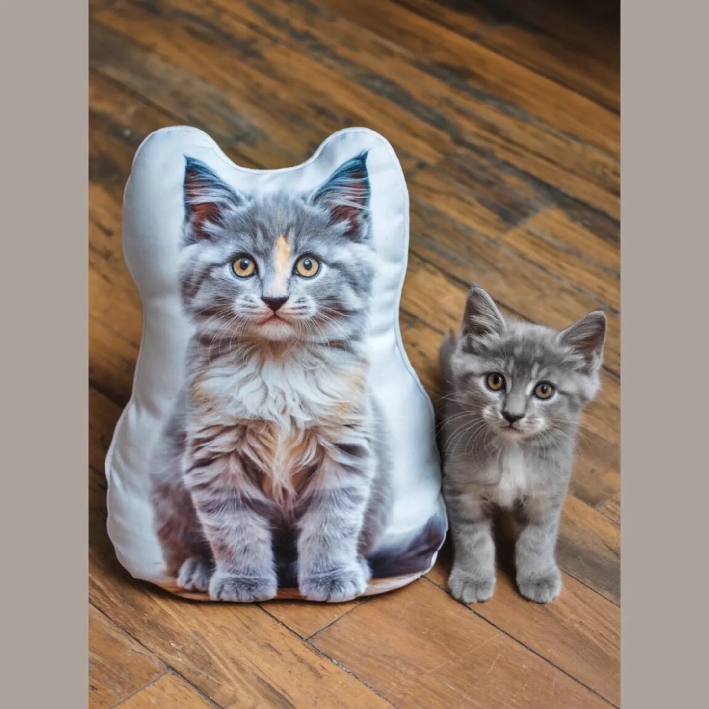 petform-custom-shaped-pillow-954516