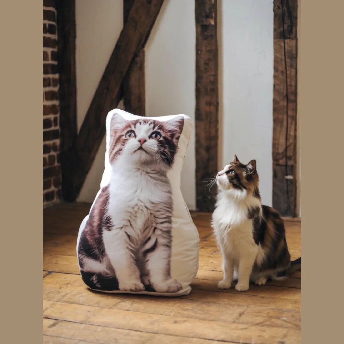 petform-custom-shaped-pillow-939946