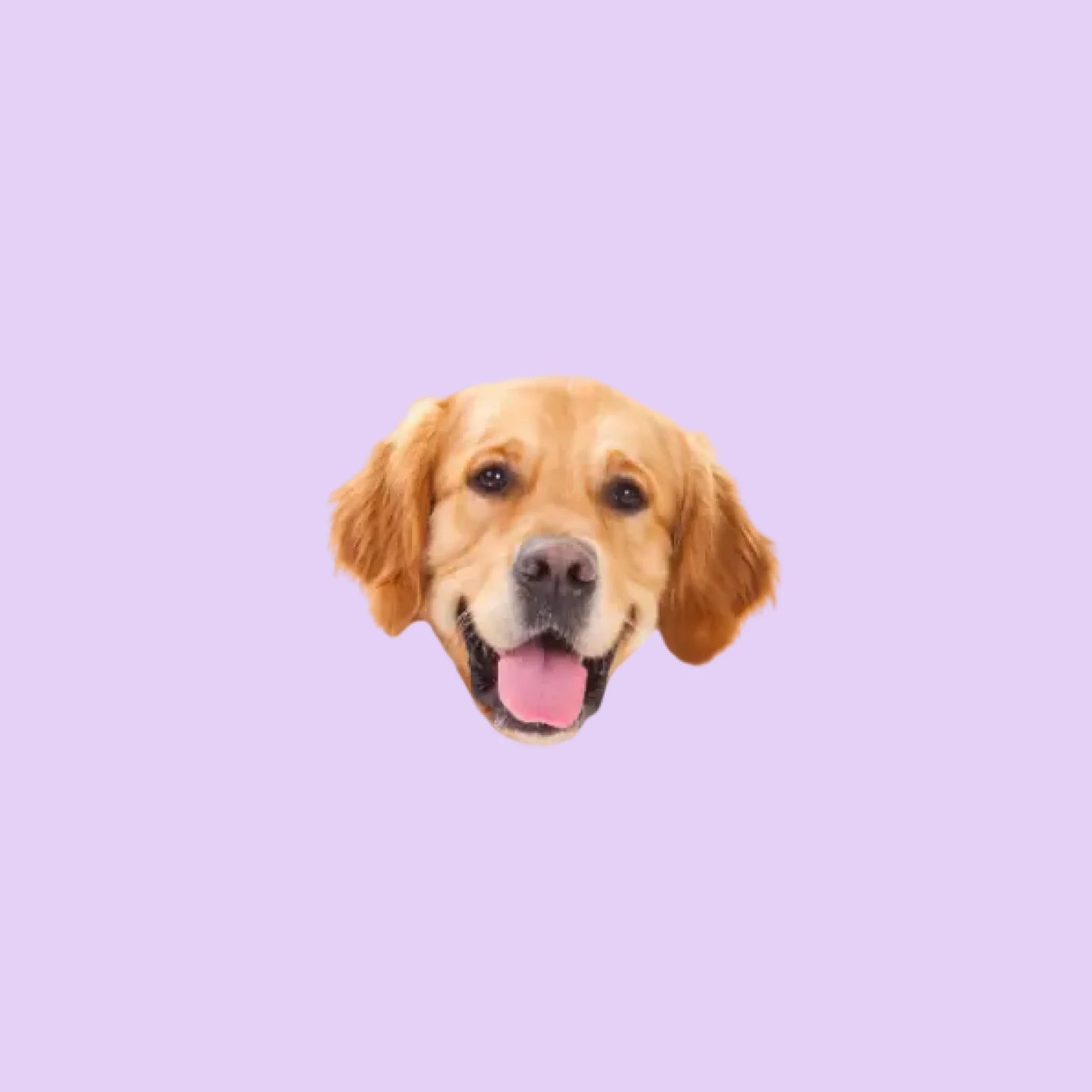 Pets Şekilli Yastık Kafa