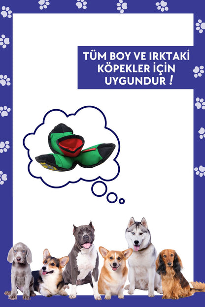 Lotus Interaktif Köpek Oyun Topu, Mama Saklamalı Köpek Oyuncağı Ara Bul Kokla Bul Köpek Oyun Topu