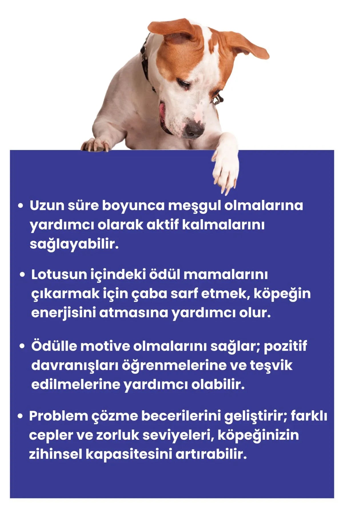 Lotus Interaktif Köpek Oyun Topu, Mama Saklamalı Köpek Oyuncağı Ara Bul Kokla Bul Köpek Oyun Topu